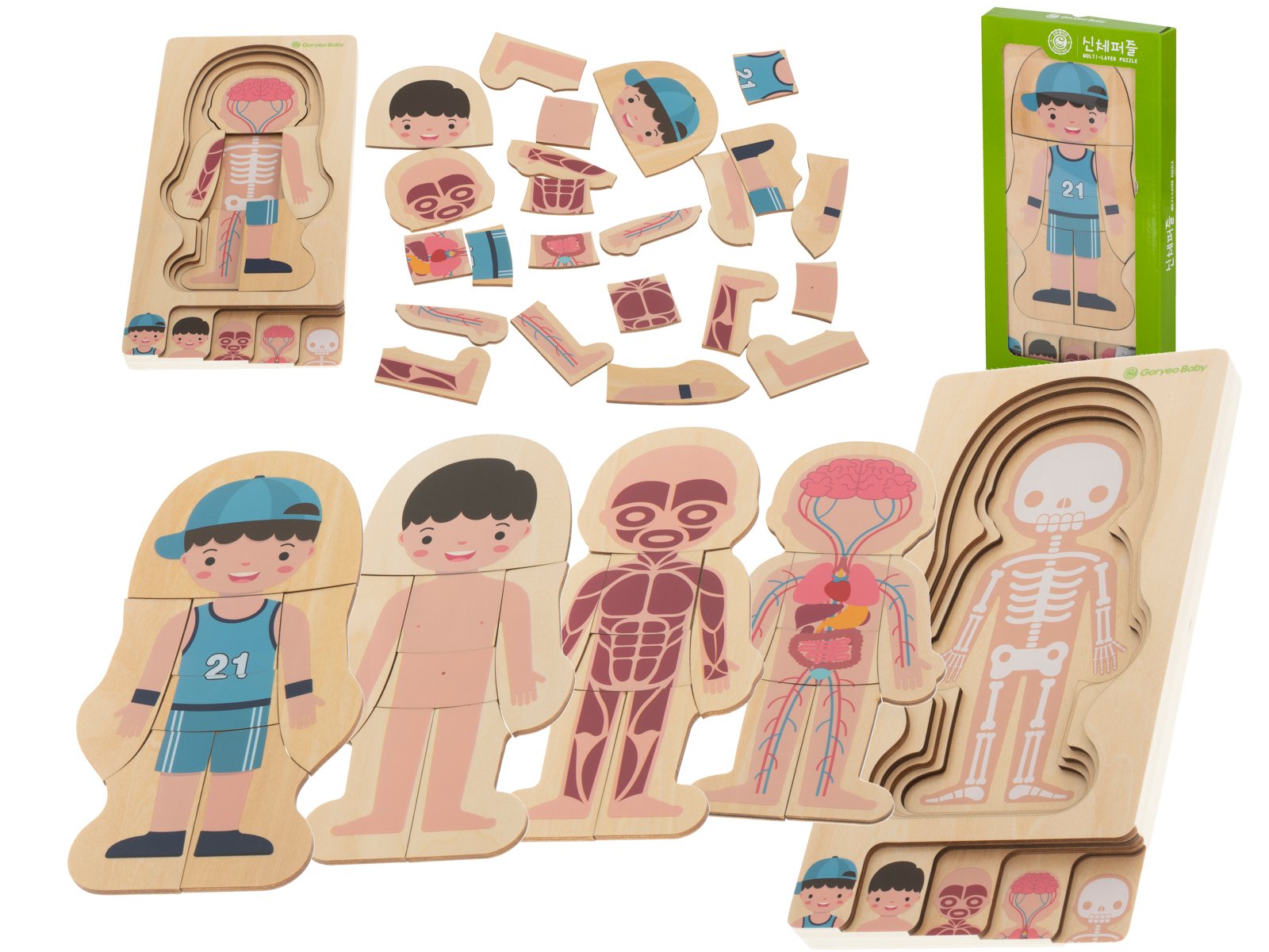 RoGer Koka kārtainās puzles montessori ķermeņa veidošanas zēns RO-5957-1 (5903039721517) bērnu rotaļlieta