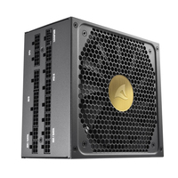 Sharkoon Netzteil Rebel P30 Gold 1300W 80 PLUS GOLD schwarz Barošanas bloks, PSU