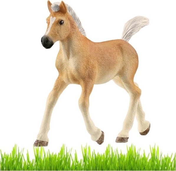 Figurka Schleich Konik figurka dla dzieci zabawka zrebak Haflinger 024134 (4059433557519) bērnu rotaļlieta