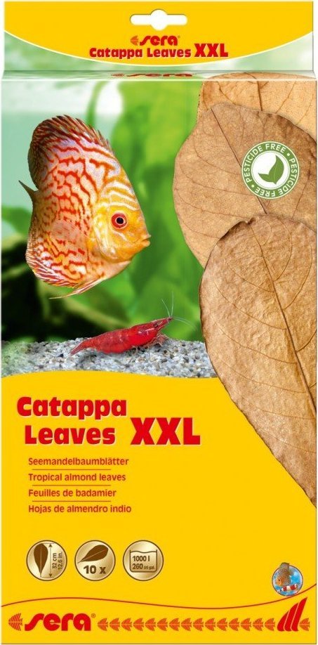 Sera Liscie migdalecznika - Catappa Leaves XXL, 32 cm, 10szt/OPAK SE-32275 (4001942452458)