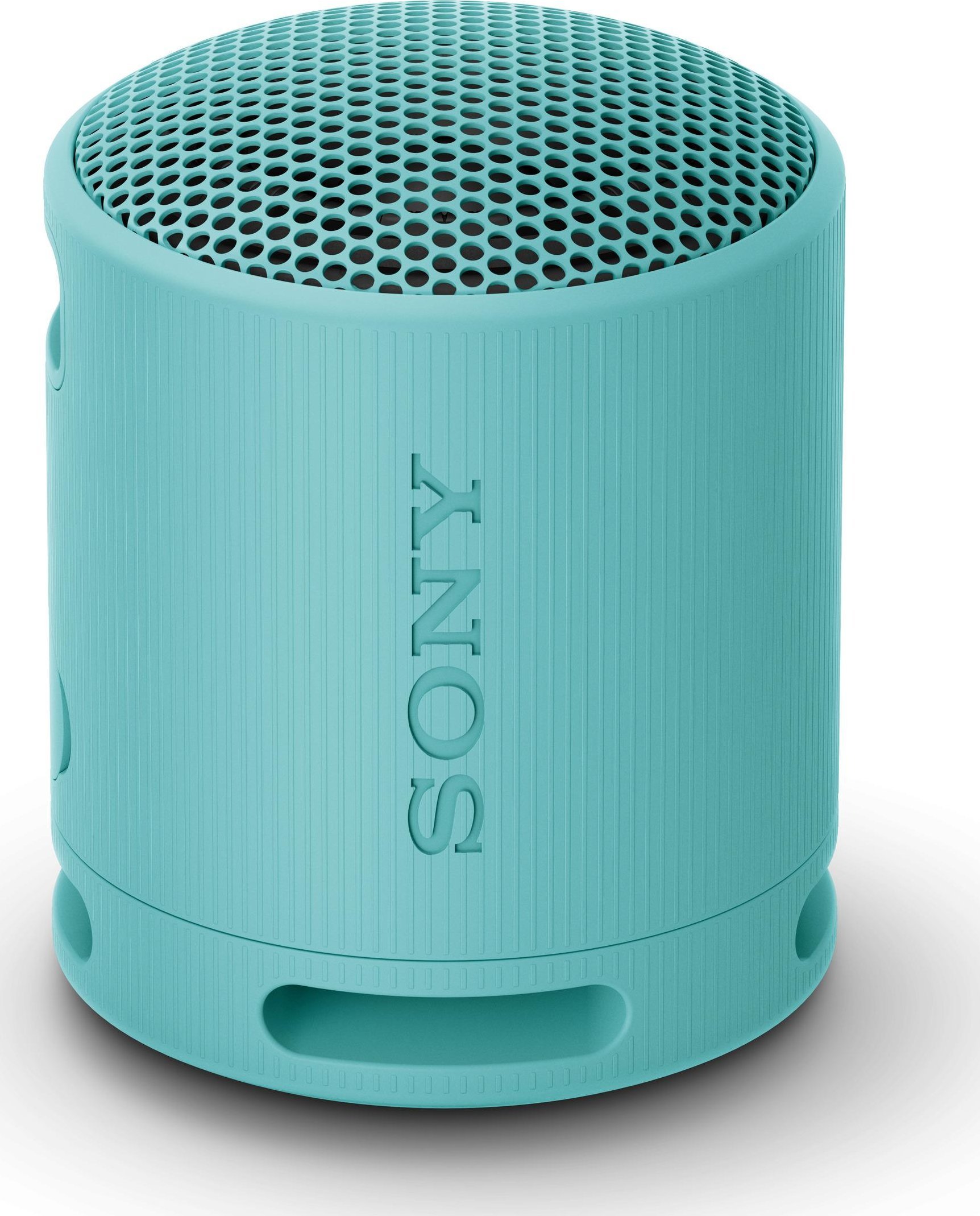 Sony Loudspeakers SRSXB100L.CE7 blue datoru skaļruņi