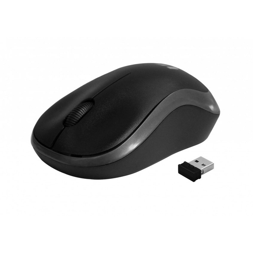 Wireless optical mouse Rebeltec METEOR silver Datora pele