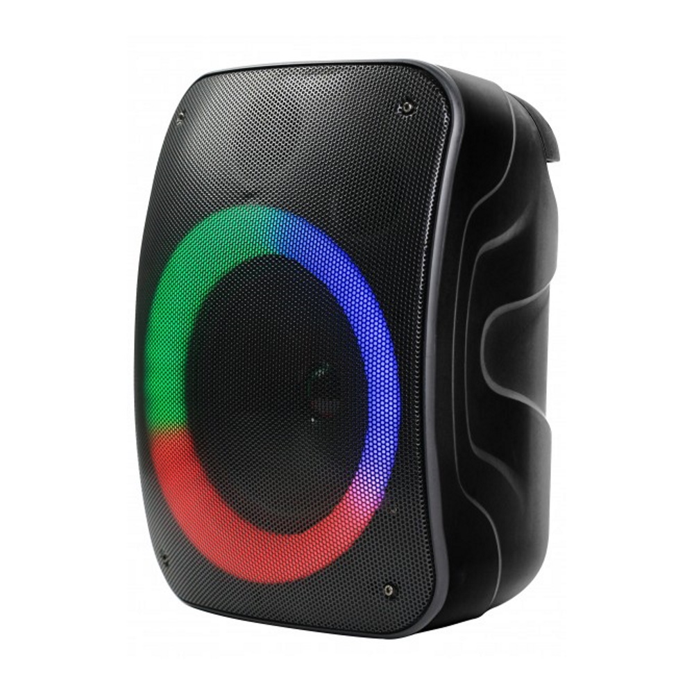 Rebeltec Bluetooth speaker STAGE 300 black pārnēsājamais skaļrunis