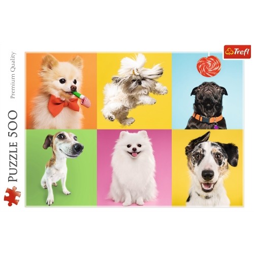 Puzzles 500 elements Dogs puzle, puzzle