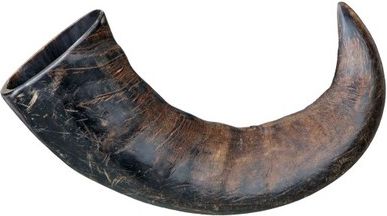 TRIXIE Buffalo horn, medium - Dog treat barība suņiem