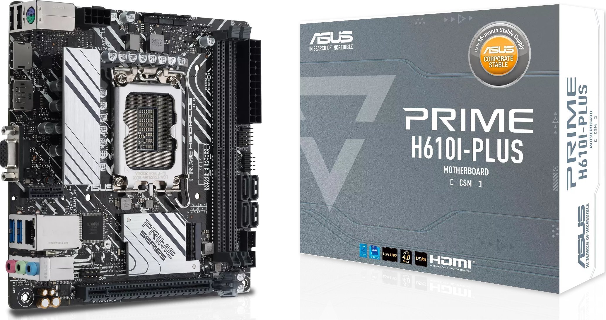 ASUS PRIME H610I-PLUS-CSM Intel LGA 1700 pamatplate, mātesplate