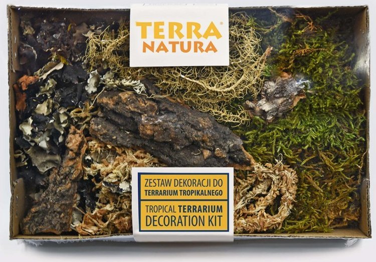 Terra Natura Zestaw dekoracji do terrarium tropikalnego TN-44042 (5904479440426)