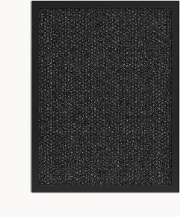 Tesla Smart Air Purifier Pro L Carbon Filter TSL-AC-3006CARBON-ACC (8596115890152) Klimata iekārta