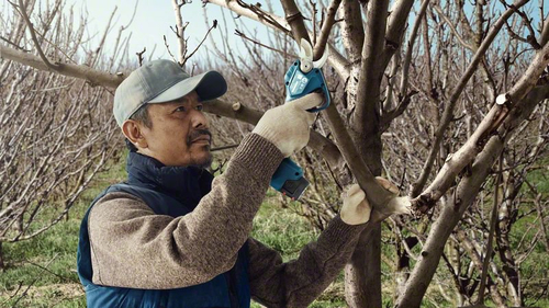 Bosch Pro Pruner 12V, solo