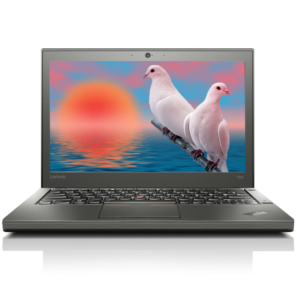 Lenovo ThinkPad X260 12.5 1366x768 i5-6200U 16GB 256SSD WIN10Pro RENEW AB2797 (ABC051152797)