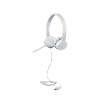 Lenovo USB Headset  110 Stereo Grey austiņas