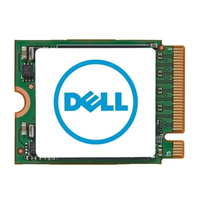 Dell - SSD - 1 TB - PCIe 4.0 x4 (NVMe) SSD disks