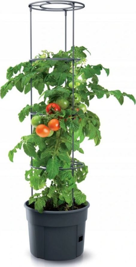 Prosperplast Pot for tomatoes Tomato Grower IPOM400