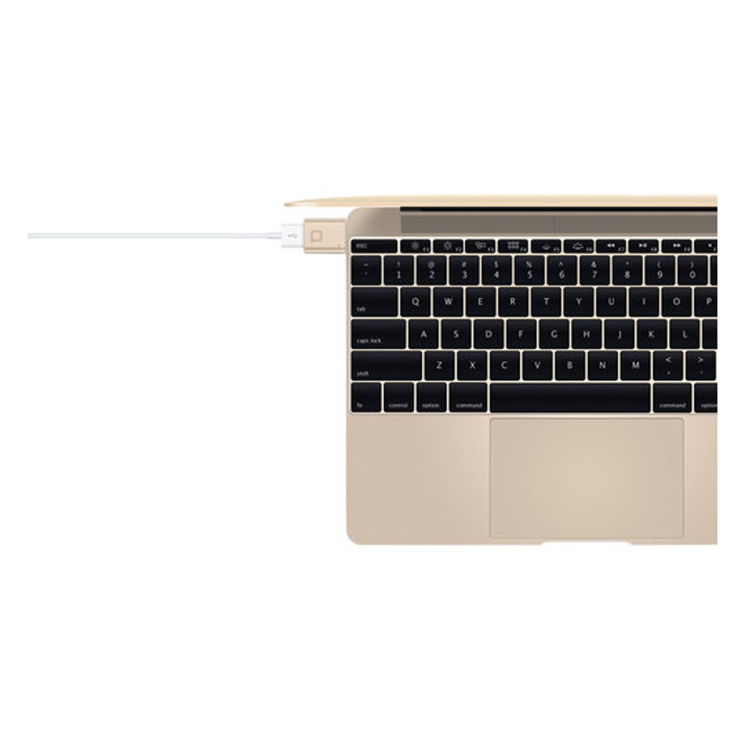 Nonda USB-C - USB-A Gold (MI22GDRN) adapteris