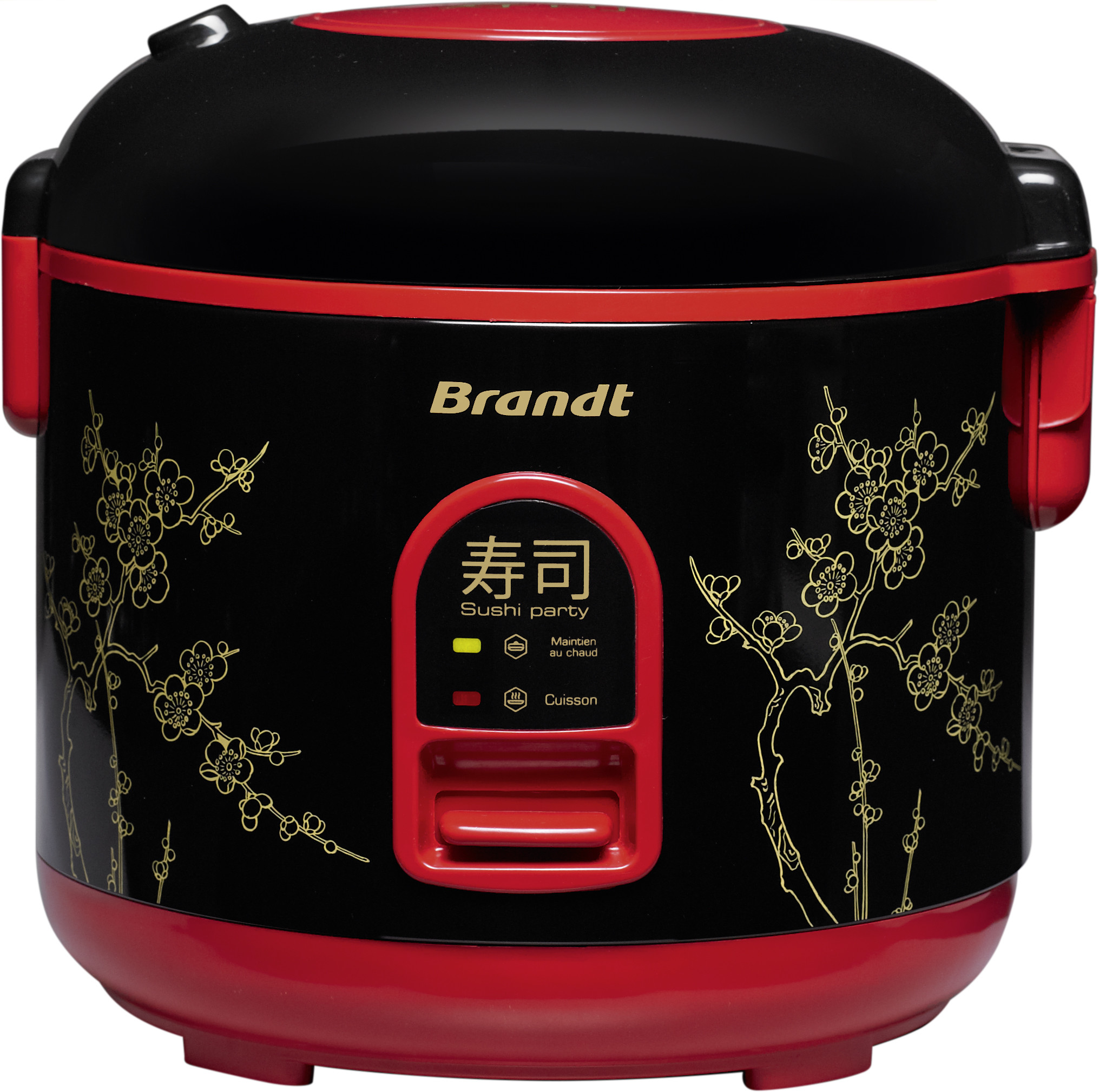 Rice cooker Brandt SUP515 SUP515 (3660767953314) Multivārāmais katls