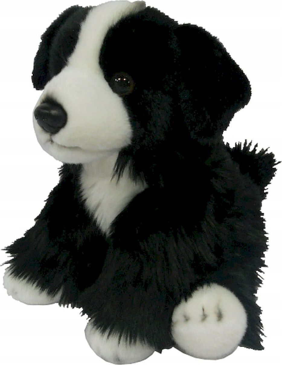 Smily Play Maskotka Border Collie 30cm 3+ Smily Play 5834722 (5905375834722)